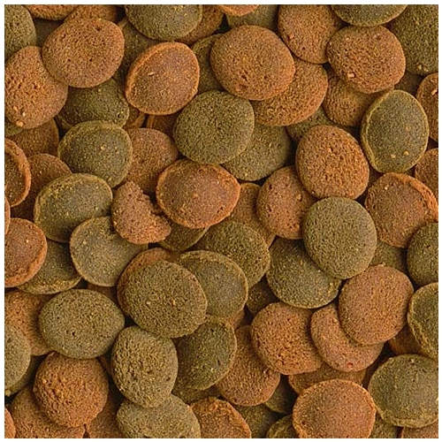 Tetra Wafer Mix 100ml