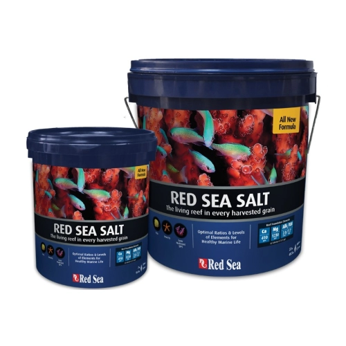 Red Sea Salt 22kg