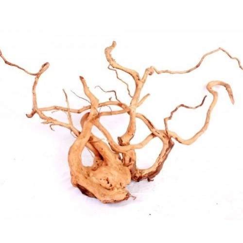 Red Moor Root - Korzenie z wrzosowisk