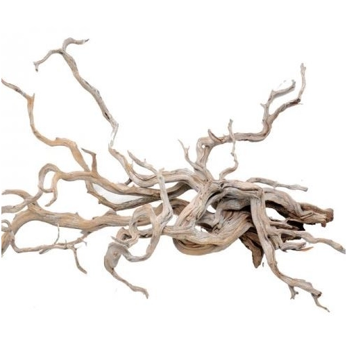 Red Moor Root - Korzenie z wrzosowisk