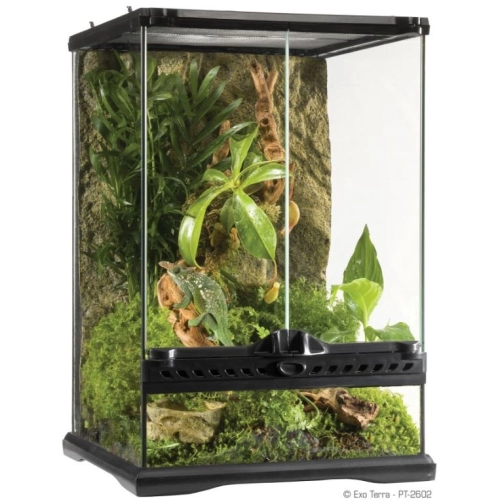 EXO TERRA terrarium szklane Mini Tall (30x30x45 cm)