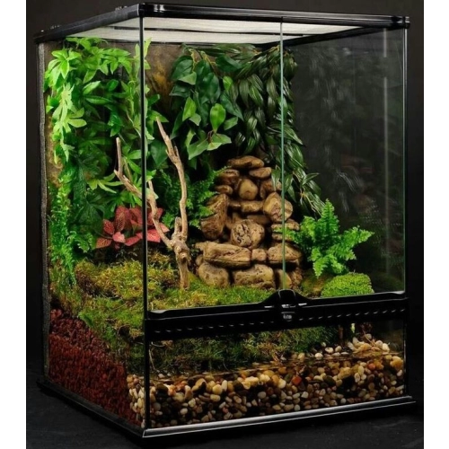 EXO TERRA terrarium szklane Mini Tall (30x30x45 cm)