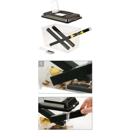 EXO TERRA Cricket Pen L Terrarium na karmówkę (30x20,5x19,5cm)