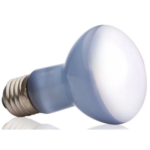 EXO TERRA Daylight 50W (żarówka grzewcza neodymowa)