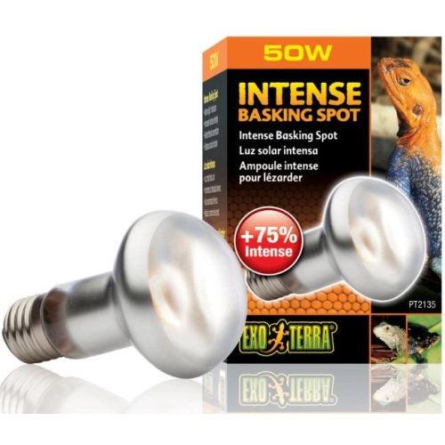 EXO TERRA Intense Basking Spot 50W (żarówka grzewcza)