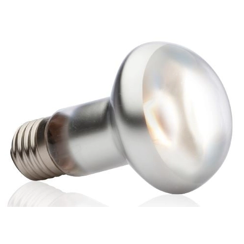 EXO TERRA Intense Basking Spot 50W (żarówka grzewcza)