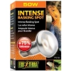 EXO TERRA Intense Basking Spot 50W (żarówka grzewcza)