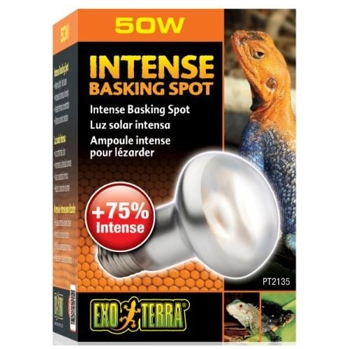 EXO TERRA Intense Basking Spot 50W (żarówka grzewcza)