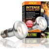 EXO TERRA Intense Basking Spot 25W (żarówka grzewcza)
