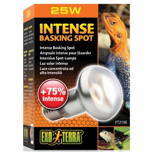 EXO TERRA Intense Basking Spot 25W (żarówka grzewcza)