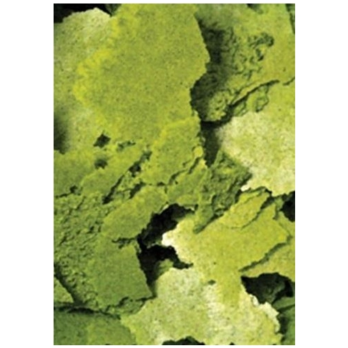 Ocean Nutrition Formula Two Flakes 34g (pokarm w płatkach)