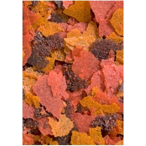 Ocean Nutrition Brine Shrimp Plus Flakes 34g (pokarm w płatkach)