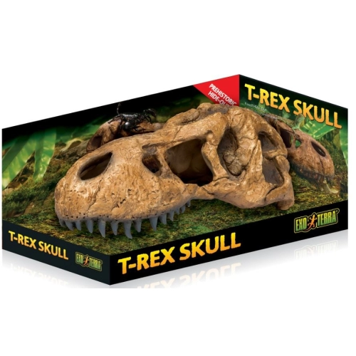 EXO TERRA T-Rex skull (czaszka dinozaura)