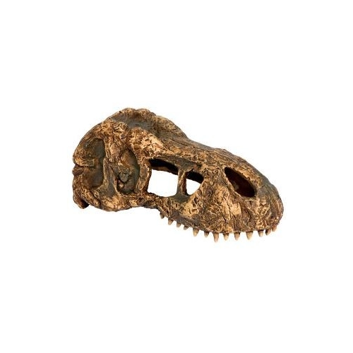 EXO TERRA T-Rex skull (czaszka dinozaura)