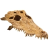 EXO TERRA Crocodile Skull (czaszka krokodyla)