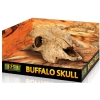 EXO TERRA Buffalo Skull (czaszka bawoła)