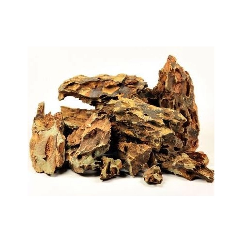 Kamienie Dragon Stone