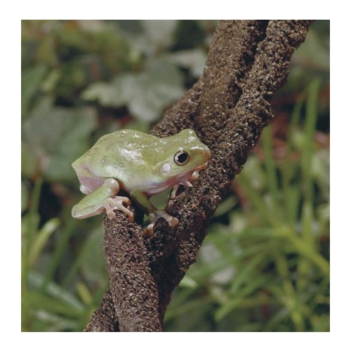 Exo Terra Liana wodoodporna gięta 190cm