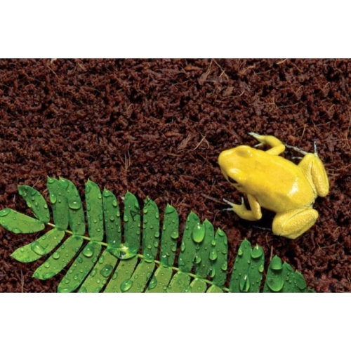 Repti-Zoo Podłoże z włókien kokosa 8l