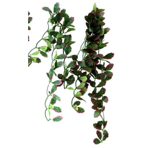 Repti-Zoo roślina wisząca bluszcz czerwony 40cm