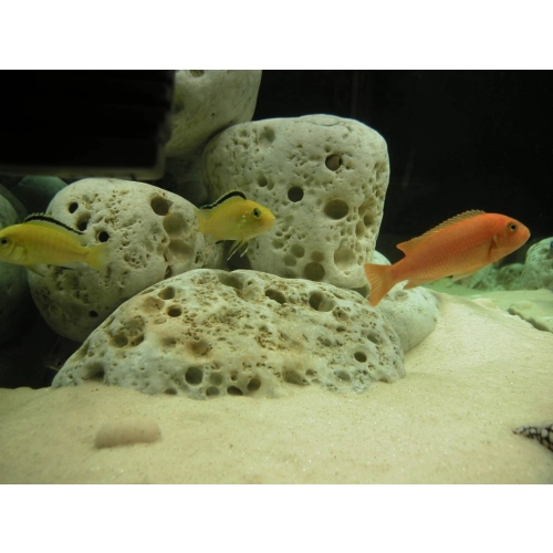 Piasek rzeczny drobny 2kg