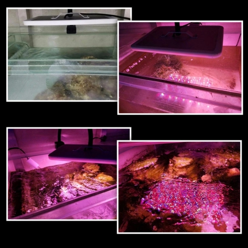 Zetlight Horizon E200S Lampa LED glonowa 16W