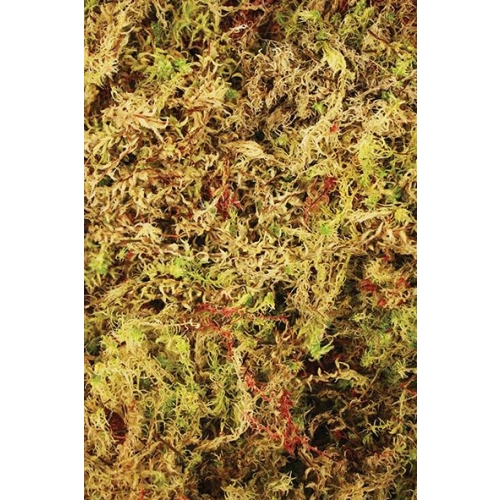 Komodo Habitat Moss 100g - mech torfowiec