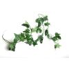 Repti-Zoo roślina wisząca 190cm - Hedera