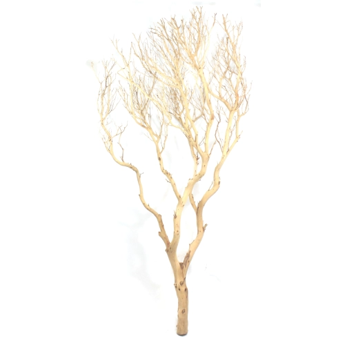 Korzeń dekoracyjny Drift Wood