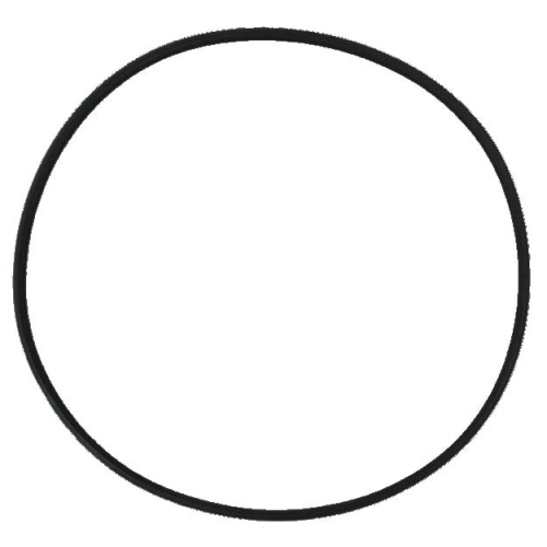 SunSun Uszczelka głowicy HW-303