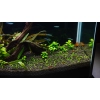 Aqua-art Aqua Substrate PRO 6 L - czarne podłoże