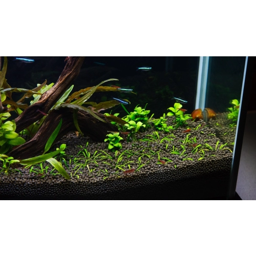 Aqua-art Aqua Substrate PRO 6 L - czarne podłoże