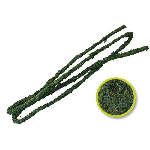 Komodo Tropical Vine - liana tropikalna 1,5 x 10cm