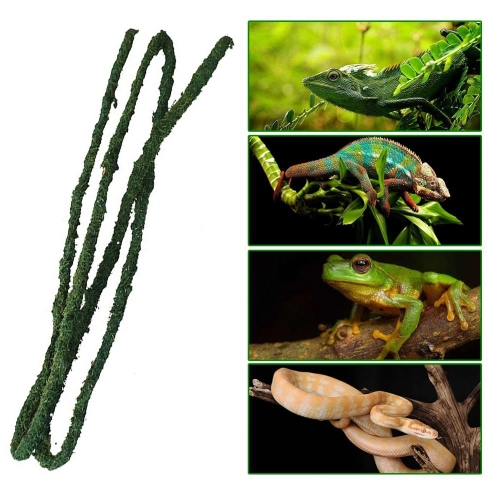 Komodo Tropical Vine - liana tropikalna 1,5 x 10cm