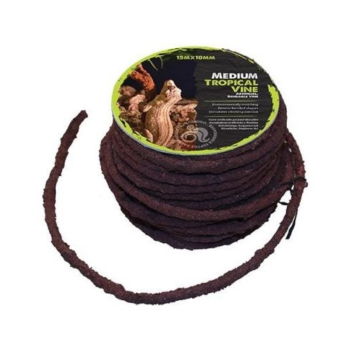 Komodo Tropical Vine - liana tropikalna 1 x 10cm