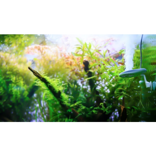 Twinstar 2 Reactor M9 - reaktor wymienny Nano+ i Yotta+