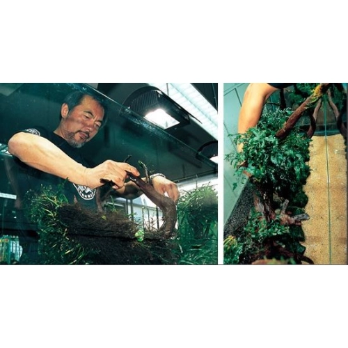 Ada Power Sand Basic S 2l