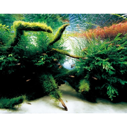 Ada Power Sand Advance L 6L