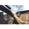 Repti-Zoo Terrarium AK 21x31x15