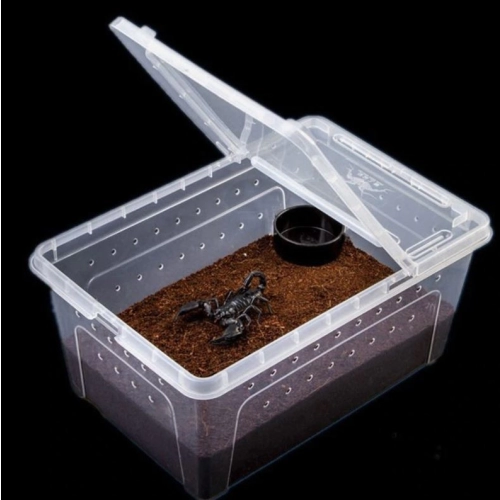 Terrario Terrarium Faunarium 26x18x13cm