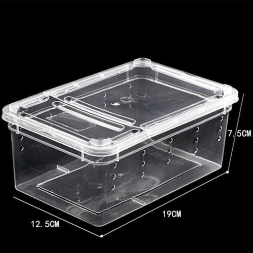 Terrario Terrarium Faunarium 33x22x15cm
