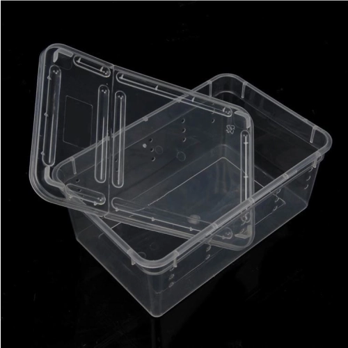 Terrario Terrarium Faunarium 33x22x15cm