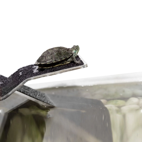 Repti-Zoo Rampa + Wyspa dla żółwi L