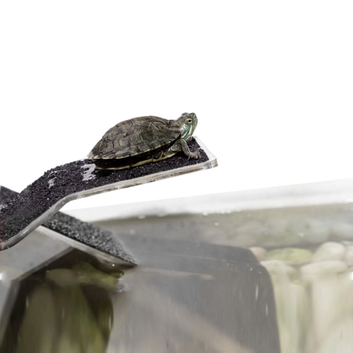 Repti-Zoo Rampa + Wyspa dla żółwi M