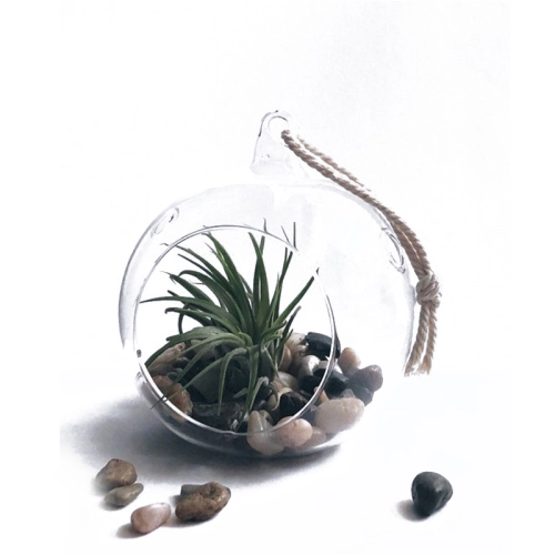 Żwirek rzeczny 5-10mm 2kg