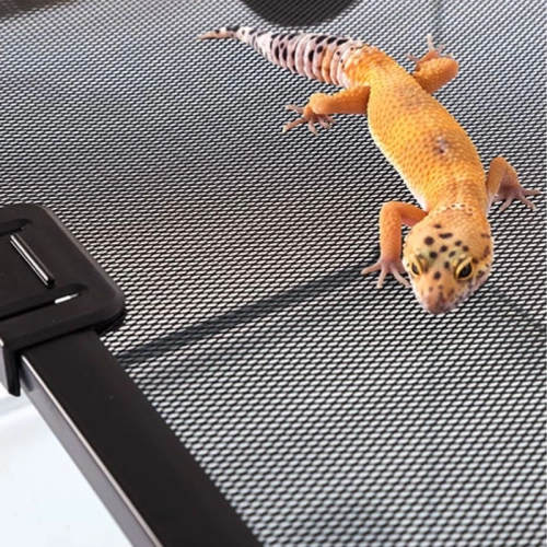 Repti-Zoo terrarium RAK 50x30x35cm