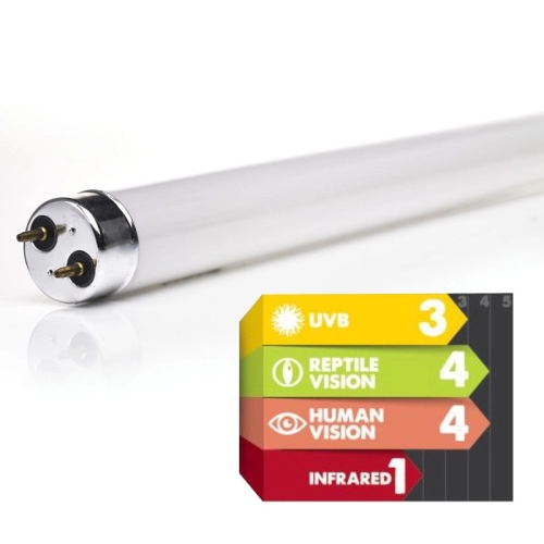 Komodo Desert Sunlight 10W - świetlówka 10.0 UVB