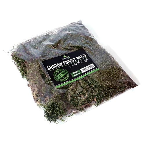 Terrario Shadow Forest Moss - mech naturalny 35x30cm