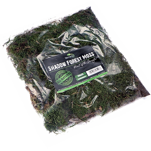 Terrario Shadow Forest Moss - mech naturalny 35x30cm