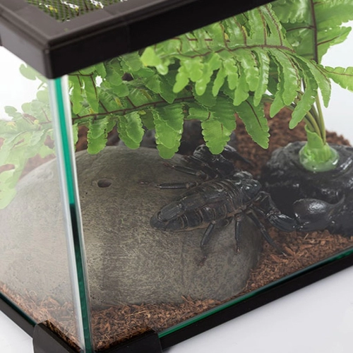 Repti-Zoo Simple Habitat - terrarium 31x31x20